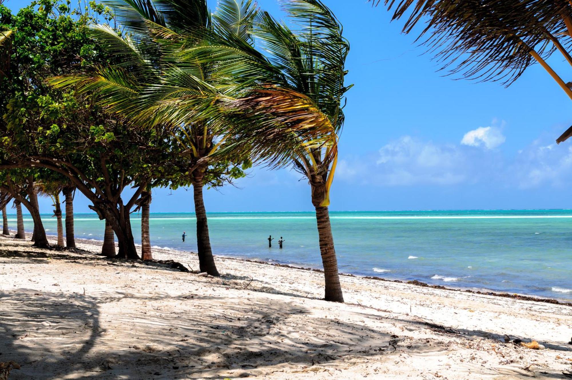 Twiga Beach Resort Watamu Bagian luar foto